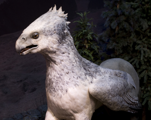 JB2_-_Buckbeak_the_Hippogriff-625x500.jpg